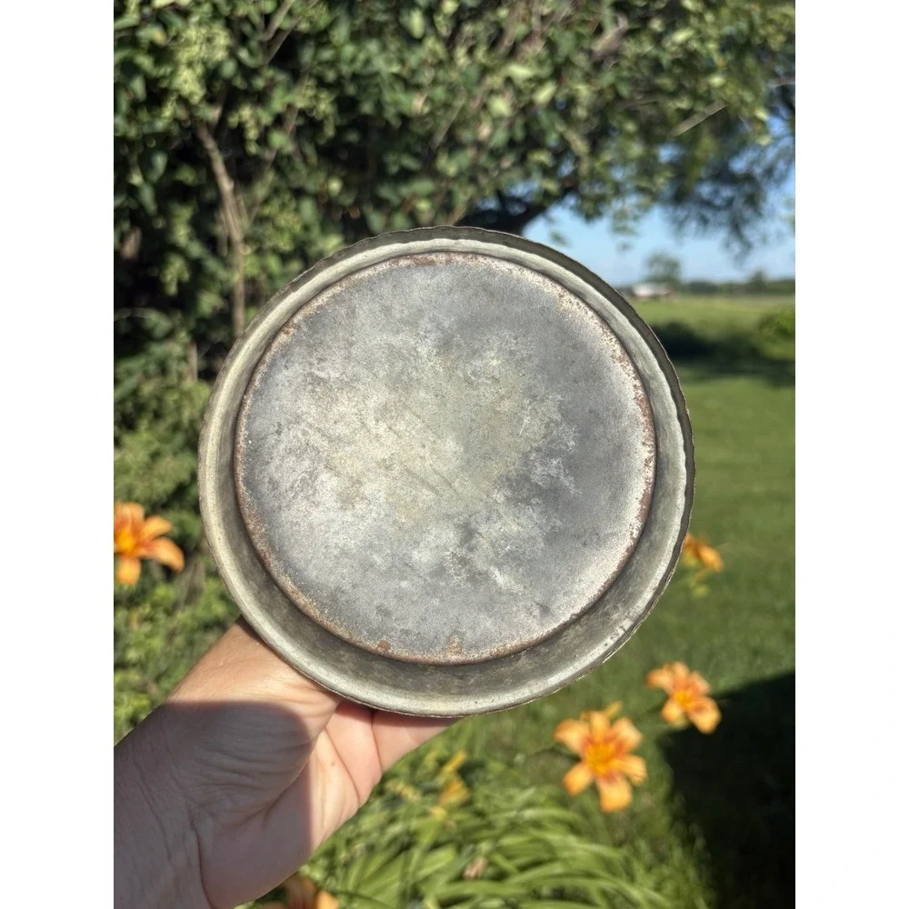 Vintage Feeder Galvanized Bird Feeder Chicken Country Decor